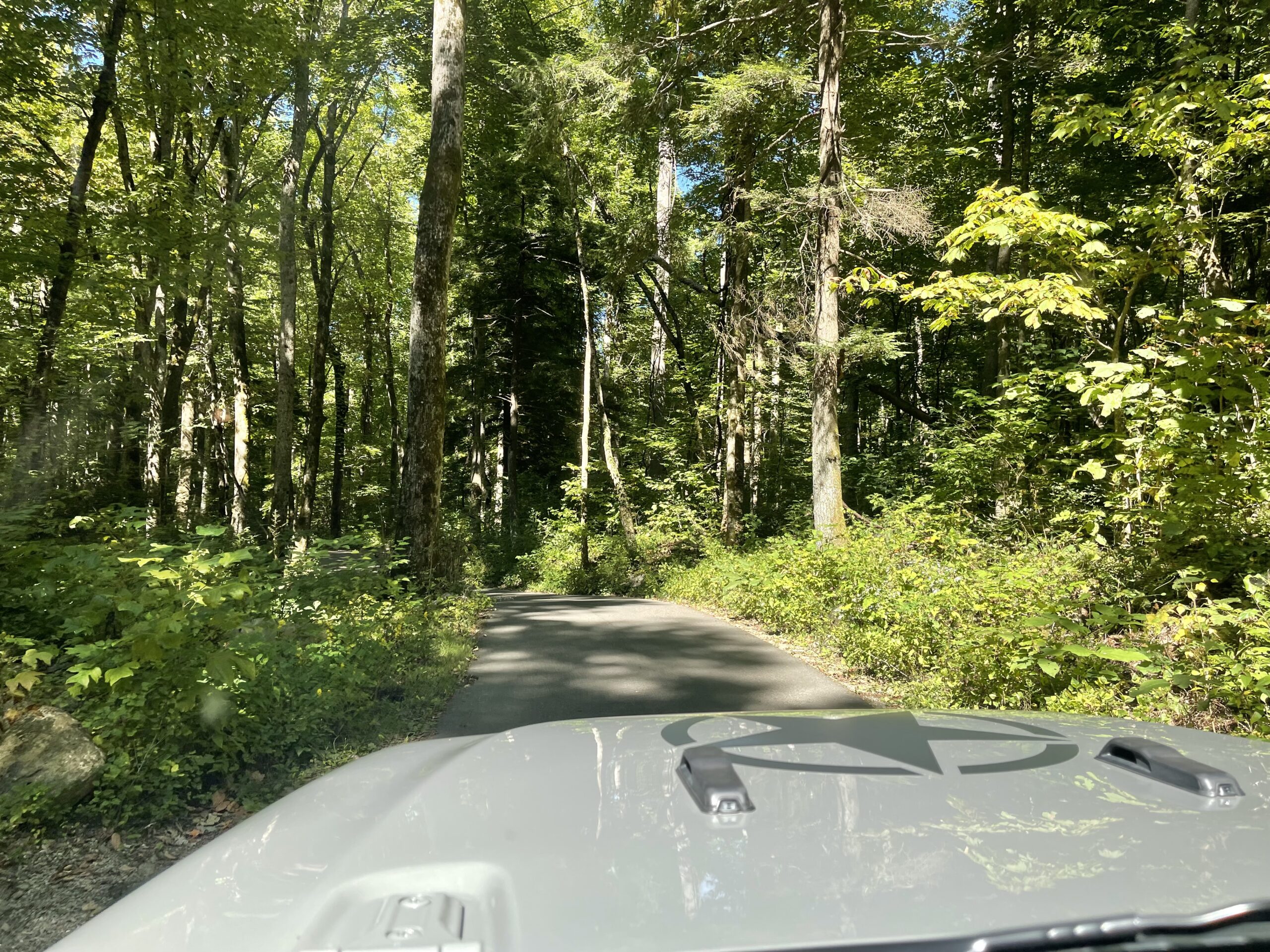 Road through the Smoky Mountains, viewed from behind the wheel