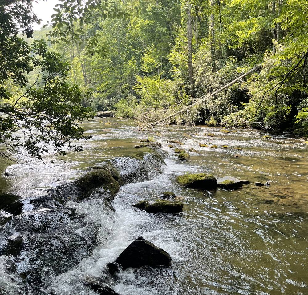 creek flowing over rocks in the Tennessee mountains