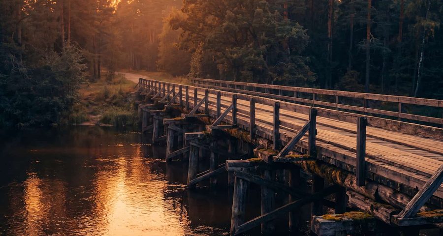 wooden bridge through the forest at golden hour