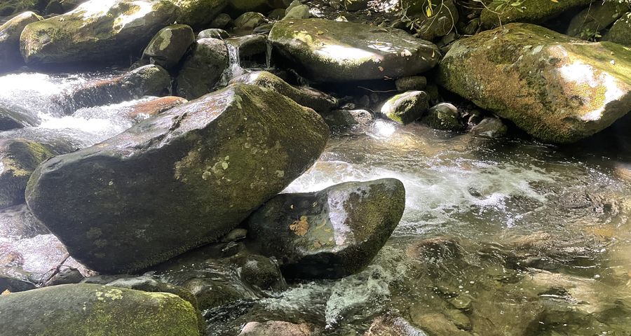 creek rocks and rushing water